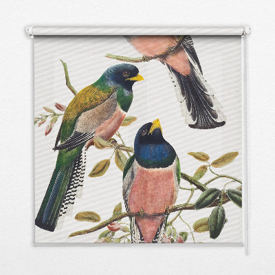 Fabric roller blind for window Birds on the branches