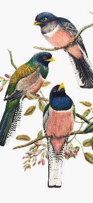 Fabric roller blind for window Birds on the branches