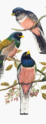 Fabric roller blind for window Birds on the branches