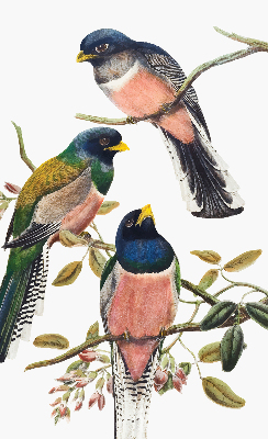 Fabric roller blind for window Birds on the branches