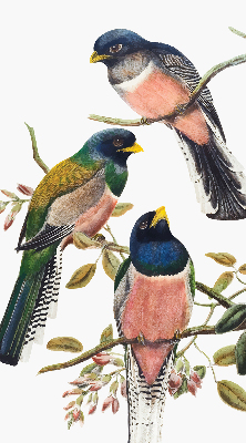 Fabric roller blind for window Birds on the branches