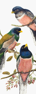 Fabric roller blind for window Birds on the branches