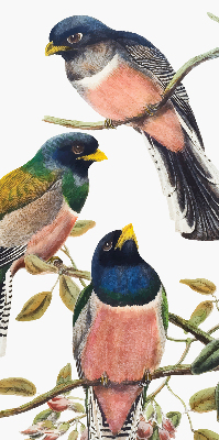 Fabric roller blind for window Birds on the branches