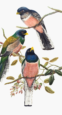 Fabric roller blind for window Birds on the branches