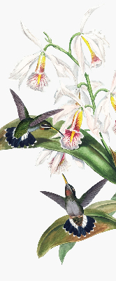 Blackout roller blind Birds on a flower
