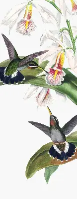 Blackout roller blind with a birds on a flower print