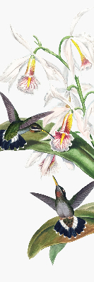 Blackout roller blind Birds on a flower