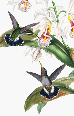Blackout roller blind Birds on a flower