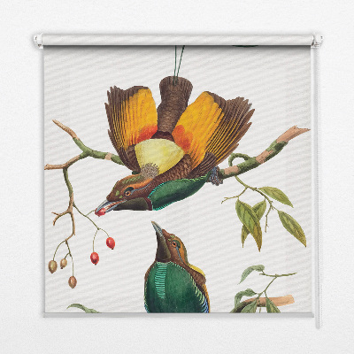 Blackout roller blind for window Birds on a branch