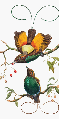Blackout roller blind for window Birds on a branch