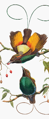 Blackout roller blind for window Birds on a branch