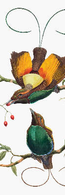Blackout roller blind for window Birds on a branch