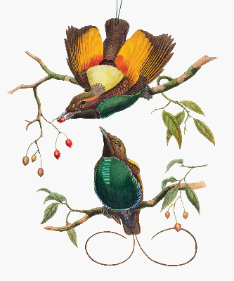 Blackout roller blind for window Birds on a branch