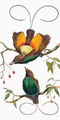 Blackout roller blind for window Birds on a branch