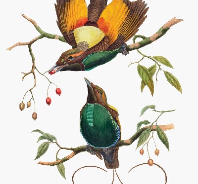 Blackout roller blind for window Birds on a branch