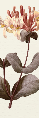 Fabric roller blind for window Falling flower