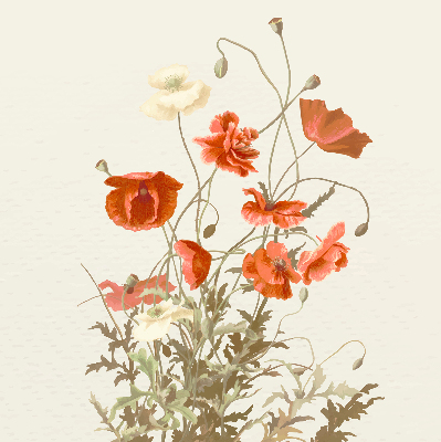 Blackout roller blind Poppies