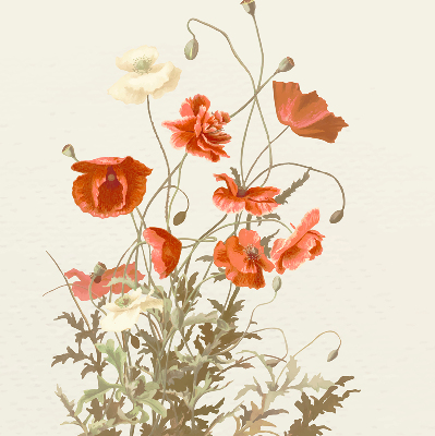 Blackout roller blind Poppies