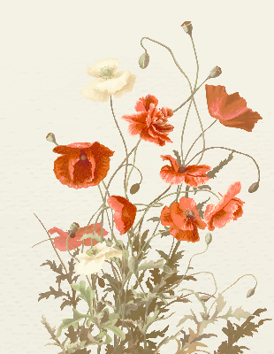 Blackout roller blind poppies print