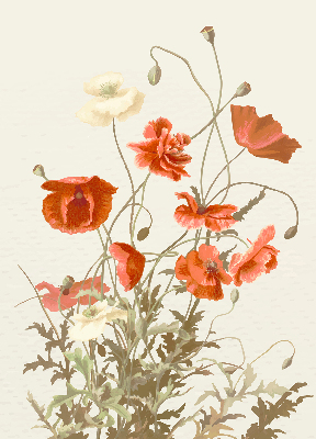 Blackout roller blind Poppies