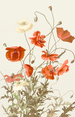 Blackout roller blind Poppies