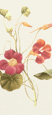 Blackout roller blind for window Flower