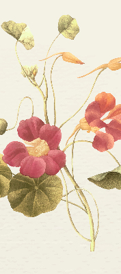 Blackout roller blind for window Flower