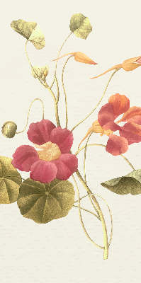 Blackout roller blind for window Flower