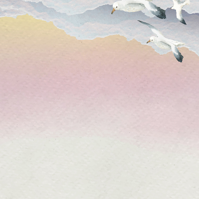 Blackout roller blind Flying birds