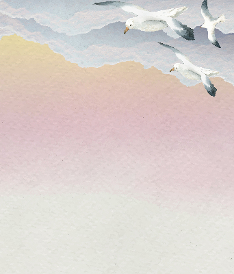 Blackout roller blind Flying birds