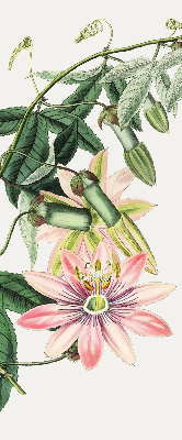Blackout roller blind Pink flower