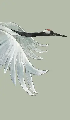 Blackout roller blind featuring a crane in flight design