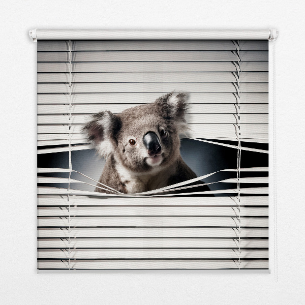 Blackout roller blind Koala