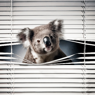 Blackout roller blind Koala