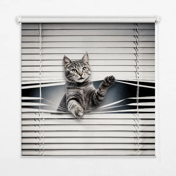 Blackout roller blind for window cat pattern