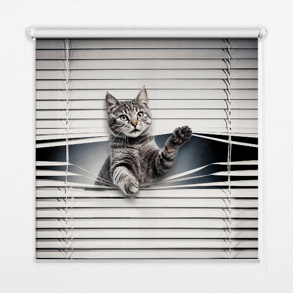 Blackout roller blind for window Cat
