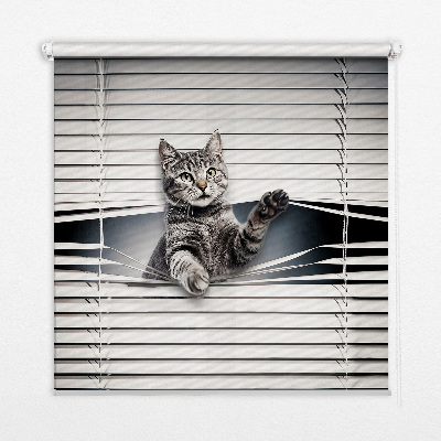 Blackout roller blind for window Cat