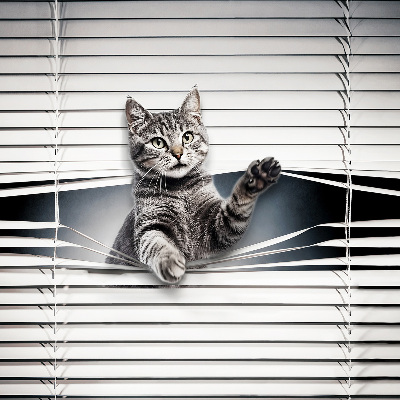 Blackout roller blind for window Cat
