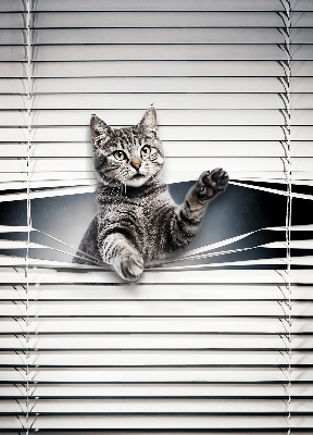 Blackout roller blind for window Cat
