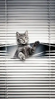 Blackout roller blind for window cat pattern