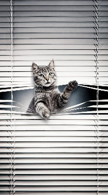 Blackout roller blind for window Cat