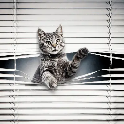 Blackout roller blind for window cat pattern