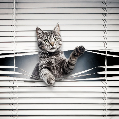 Blackout roller blind for window Cat