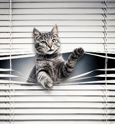 Blackout roller blind for window Cat