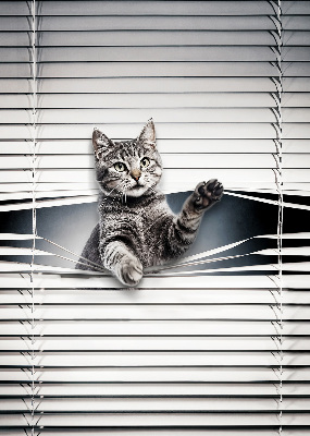 Blackout roller blind for window Cat