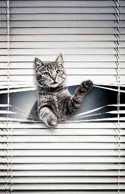 Blackout roller blind for window Cat