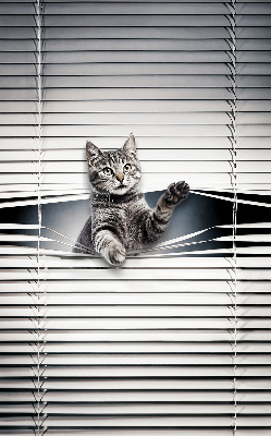 Blackout roller blind for window Cat