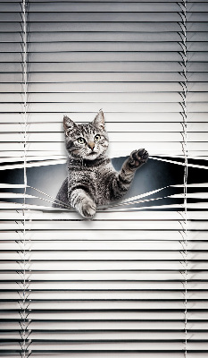 Blackout roller blind for window Cat