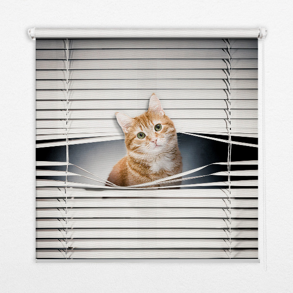 Fabric roller blind for window Ginger cat
