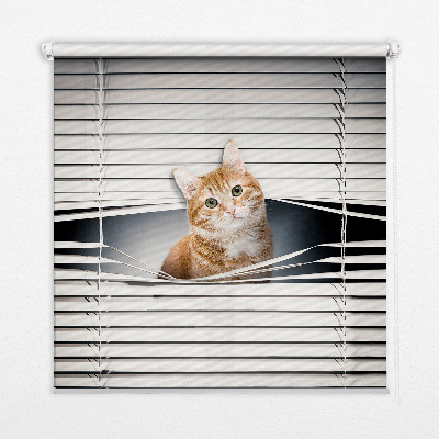 Fabric roller blind for window ginger cat pattern